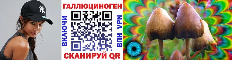 Купить Мурино Галлюциногенные грибы GOLDEN TEACHER