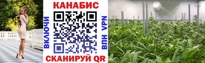 Конопля план  Купить закладки  Мурино 